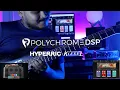 Demoing Polychrome Dsp HyperRig Kisel Synthwave soloing Project R