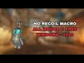 CS2 No Recoil Macro FREE ALL MOUSE SUPPORT - 2026 LEGIT