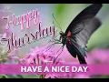 Happy Thursday Pink Flowers Beautiful Floral Good Morning Wishes Thursday Blessings