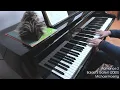 Baldur's Gate II - Viconia's Romance Theme (piano cover)
