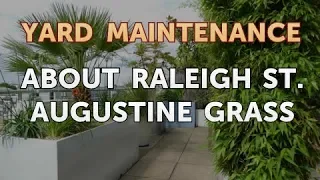 About Raleigh St Augustine Grass