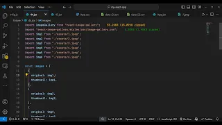 Build a React js Image Carousel Gallery and Slideshow Using react-image-gallery Library in JSX