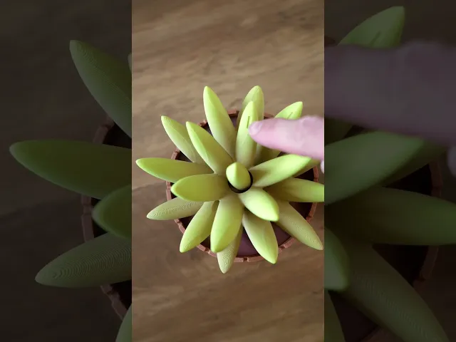 Succulent Clock video thumbnail