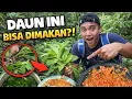 Lagu KAGET ADA TANAMAN YANG AKU CARI DI HUTAN INI…‼️ MASAK SAYUR PELANCAR ASI UNTUK ISTRI HAMIL….❤️😍