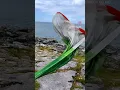 Irish Tricolour Around The World by STABLE of Ireland