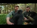 Face to Face with Brazil’s Deadliest Animals (Private Tour)