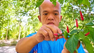 Living and doing simple daily jobs in Vietnam