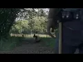 The Walking Dead GIF