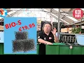 Download Lagu Nieuw bij KOIHUIS.NL BIO S