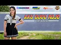 Download Lagu Dj Aku Dudu Rojo - KEN MUSIC PRO feat 69 Project | Dj Campursari Terbaru 2022