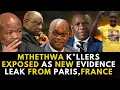 Download Lagu Mthethwa's KIllers EXPOSED AS Damning New Evidence Is Leaked From Paris