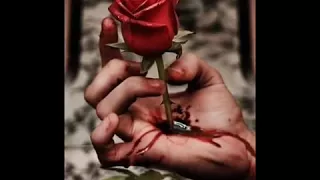خسرت معاك وراني ندمانة دندنها