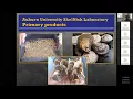 Shellfish Hatchery Experiences with Scott Rickard Auburn University Shellfish Lab