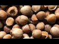 5 Food Starting With H Non Cholestrol