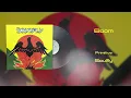 Soulfly - Boom (Vinyl Visualizer)