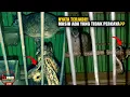 Download Lagu Bukti Nyata Dua Burung Perkutut Berubah Jadi Ular di Hari Tertentu!! Satunya Masih Berwujud Tetap...