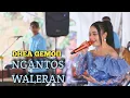 Lagu DHEA GEMOII - NGANTOS WALERAN GEUBER TEAM (COMBO) X POJOK SUARA