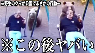 【神回】ツッコミどころ満載な世界のおもしろハプニング映像見ようぜwwwwww#11【レベルが違う】
