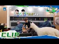Download Lagu 王嘉尔 \u0026 陈飞宇被羊驼吓出痛苦面具 四处寻找躲藏之处《嗨放派》Have Fun EP3花絮 20210828 [浙江卫视官方HD]