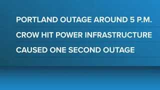 Bird contact with CMP substation causes brief power outage in Portland