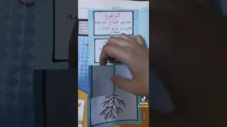 مطويه علوم النبته ابتدائي ثاني ابتدائي ثالث ابتدائي مطويات مطويه Skool اطفال اكسبلور فولو 