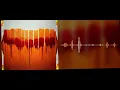 Wobinn - The heat (Official Visualizer) #WobinnMusic