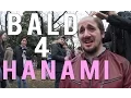 Download Lagu Youtube Hanami 2017 - Japanese Cherry Blossoms -  BALD4HANAMI