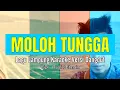 Download Lagu Moloh Tungga | Karaoke No Vocal - Nada Wanita | Lagu Lampung | Artis : Ely Marta Cipt. Rusli/Etmain MP3