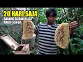 Download Lagu Terakhir kita cek 31 mei 2025 ! sekarang 19 juni 2025 sudah full madu di satu kotak ini