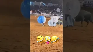 مصارعة ثيران والمصارع داخل كورة خطيرة اللعبة 