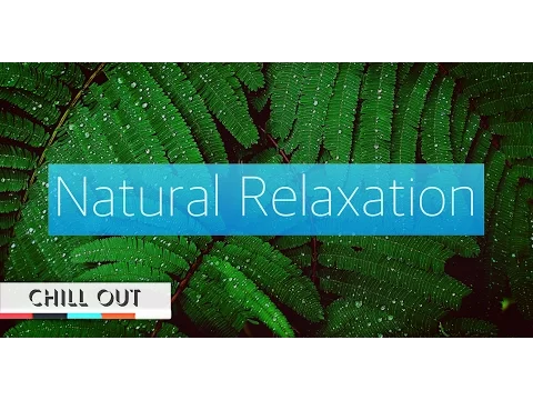 Best Trip Hop / Downtempo / Chillout