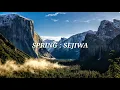 Spring - Sejiwa (official lyric video)