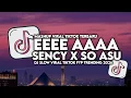 Lagu DJ EEEE AAAA ENGKOL X SENCY X SO ASU SLOW VIRAL TIKTOK FULL SONG MAMAN FVNDY 2026