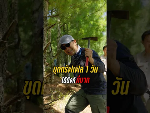 รีวิวอาชีพเก็บทรัฟเฟิล 1 วันได้ตังค์กี่บาท ?! 🤔🍄🟫🧺 #สาระตั้ม #หาเห็ด #ทรัฟเฟิล #ประเทศจีน