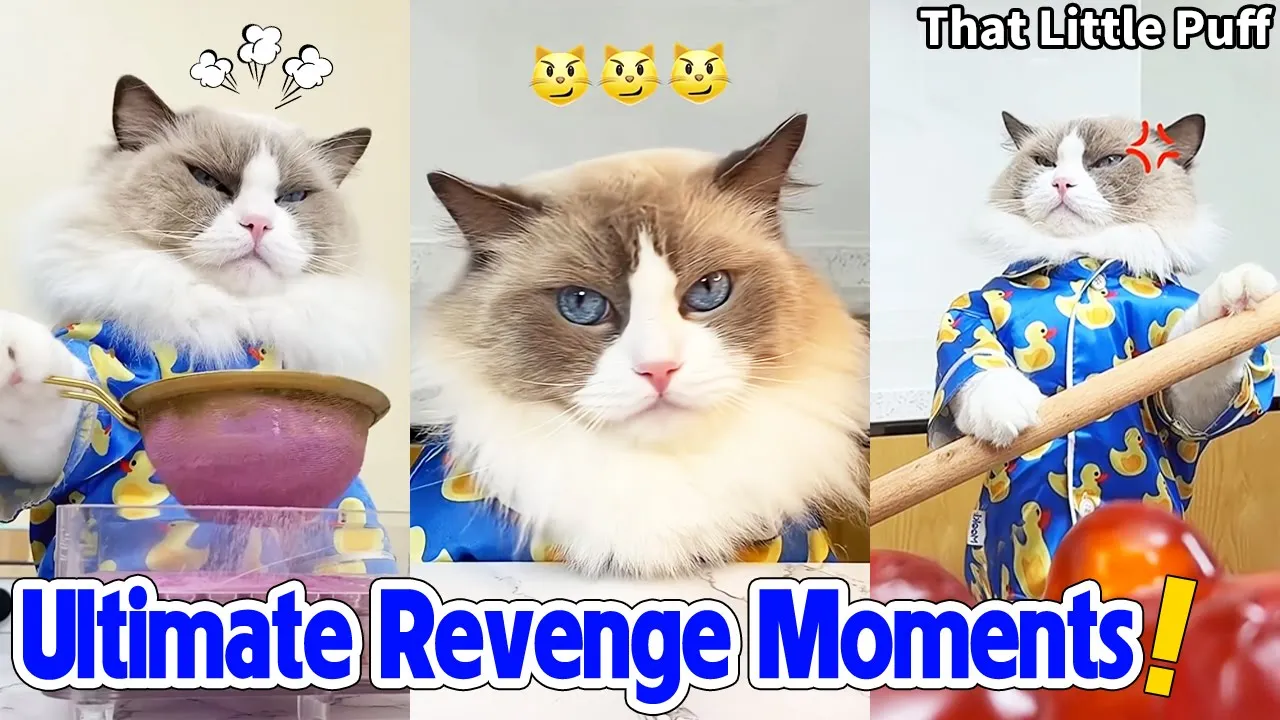 That Little Puff channel featured image