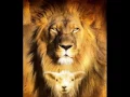 Download Lagu O escudo - Voz da Verdade