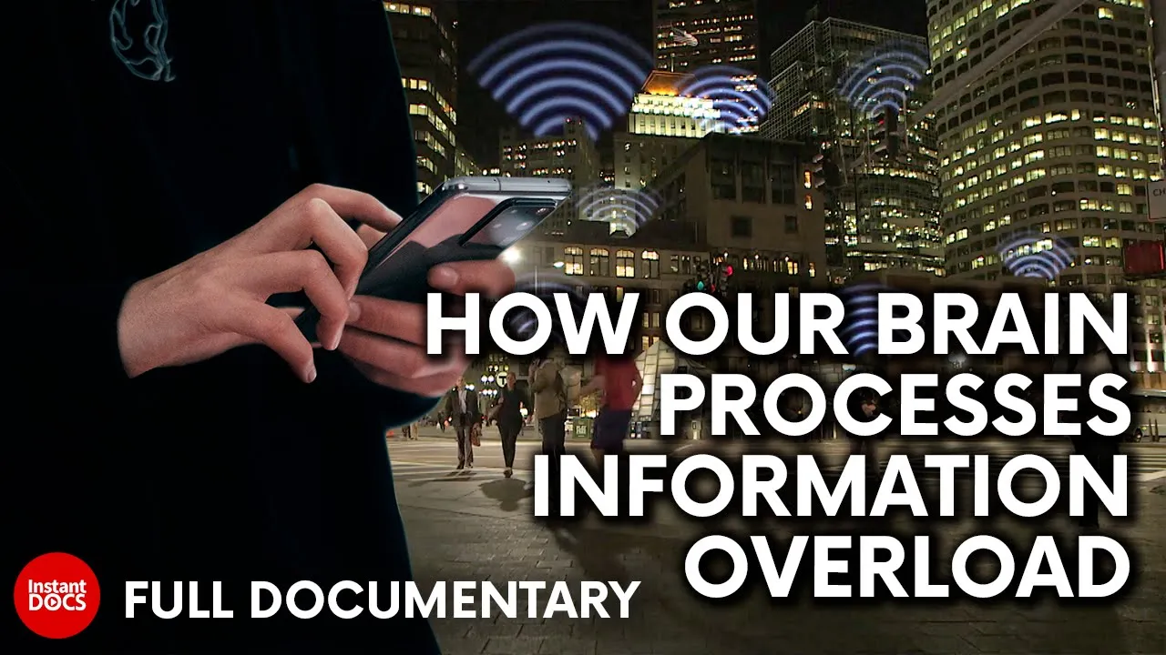 Can we adapt to the continuous flow of information? | FULL DOCUMENTARY