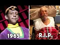 Lost in Space 1965 Then Now 60 Years Later What Happened