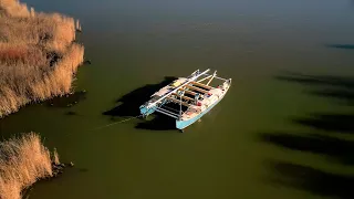 This Boat Cost Me $2000, It’s Easy To See Why | Wildling Sailing