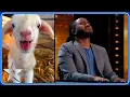 Simon Cowell s DOGS perform in Kevon Carter s HILARIOUS audition Auditions BGT 2024