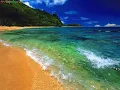 Ziggy Marley(Beach In Hawaii)