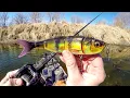 Download Lagu EPIC Day Fishing River BEASTS!