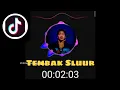 Download Lagu DJ - Tembak Sluur [REMIX] - VIRAL TIK TOK