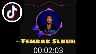 Download DJ - Tembak Sluur [REMIX] - VIRAL TIK TOK MP3