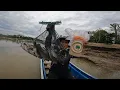 Download Lagu Langsung melengkung!! Begini jadinya mancing baung waktu air sungai lagi bagus. gak pakai lama! 