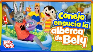 Conejo ensucia la alberca de Bely - Bely y Beto