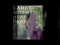 Download Lagu REGGAE DOT COM.