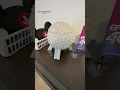 LIVING AT DISNEY WORLD - Disney s Flamingo Crossings Housing