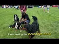 Dine & Discover - You won’t believe how many pets showed up