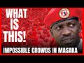 Lagu 🔴 LIVE: MASAKA WELCOMES BOBI WINE AKA KYAGULANYI SENTAMU TODAY AS CAMPAIGNS CONTINUE